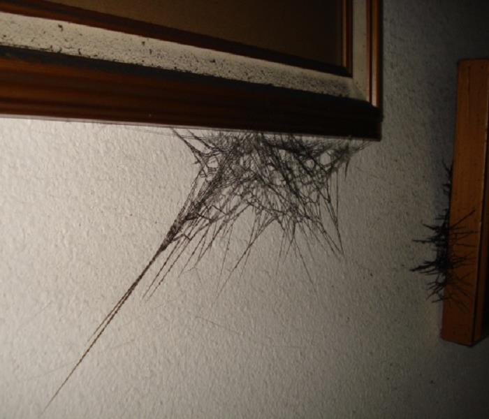 Smoke web hanging off a piece of trim