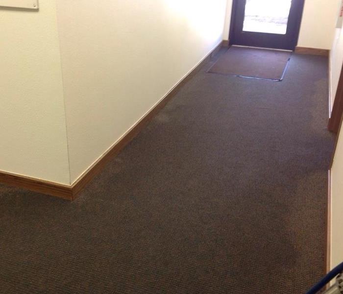 Water soaked carpeting in hallway